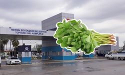 Mersin Hali’nde 30 TL, marketlerde 140 TL