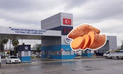 Mersin Hali’nde ithal tatlı patatesin kilosu 125 TL