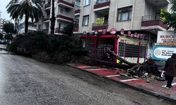 Şiddetli fırtına nedeniyle Palmiye Mahallesi’nde ağaç devrildi