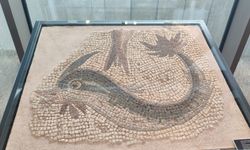 Milattan sonra 2’nci yüzyıla ait: Yunus Betimli Mozaik