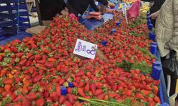 80 TL'lik çileğe yoğun ilgi
