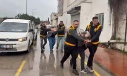 Atlara eziyet edenlere dikkat çeken ceza: Haftada 1 gün barınak temizleyecekler