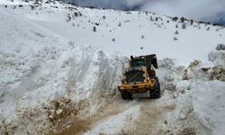 Hakkari'de tüm köy ve mezra yolları ulaşıma açıldı