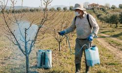 Meyve üreticilerine bordo bulamacı uyarısı