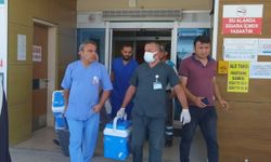 Organlarıyla 4 kişiye umut oldu