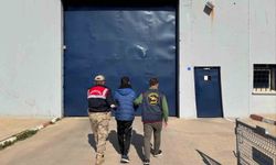 Şanlıurfa'da 14 yıl hapis cezası bulunan şahıs yakalandı