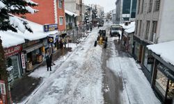 Sarıkamış'ta 'beyaz mesai': 600 kamyon kar şehir dışına taşındı