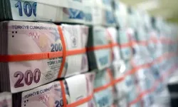 Bütçe Şubat ayında 24,4 milyar TL fazla verdi