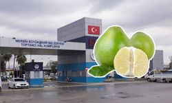 Çin greyfurtu Mersin Hali’nde kilosu 260 TL’ye satılıyor
