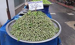 Mersin’de çağlanın kilosu 300 TL!