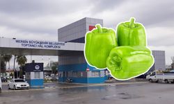 Biber dolması yapmak hayal oldu