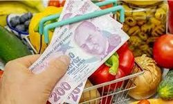 Şubat ayında yıllık enflasyon yüzde 31,53 oldu