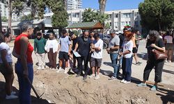 Mersin’deki Fin balinasının iskeleti yazın sergiye açılacak