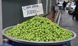 Mersin’de can erik görücüye çıktı: Kilosu bin TL!