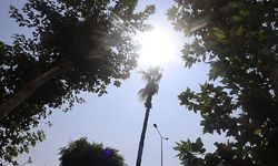 Hava sıcaklıkları yükseliyor. Mersin 23 derece