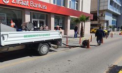 Mersin’de baharın gelmesiyle birlikte haşerelere karşı mücadele arttı