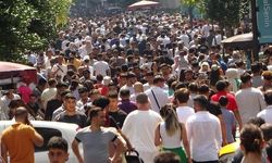 İşsizlik oranı Şubat ayında yüzde 8,5 oldu