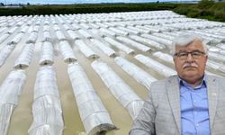 Mersin’de tarım arazileri selden ve hortumdan zarar gördü: "Üç kez ektiler üçü de gitti"