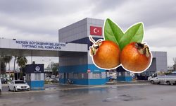 Mersin Hali’nde satışta: Muşmulanın fiyatı ve faydaları nelerdir?