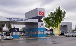 Birçok hastalığa karşı faydalı olan rezene, Mersin Hali’nde satışta