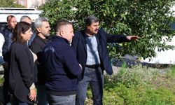 Toroslar Belediyesi kamusal alanları işgalden temizliyor