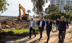 Tece sahilinde yeni yaşam alanı