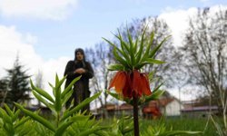 Ağlayan gelinler 5 yıl sonra baharı karşıladı