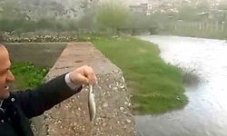 Araban'da Ardıl Çayı yıllar sonra yeniden aktı