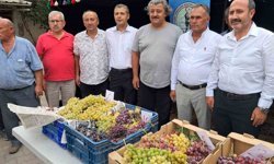 Avşar Üzümü coğrafi işaretle tescillendi