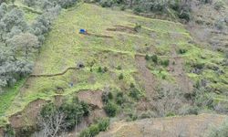 Aydın'da sağanak yağışlar sonrası dağlarda heyelan oluştu