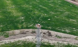 Baharın müjdecisi leylekler Elazığ'ı renklendiriyor