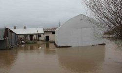 Baraj taştı, köy tamamen sular altında kaldı