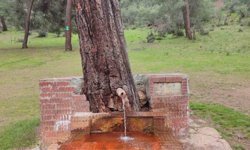 Çeşmeden maden suyu içmek isteyen vatandaşlar Laçin'e geliyor