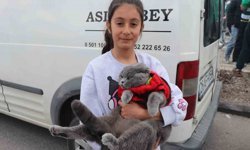 Kedisiyle stadyuma gelen minik taraftar bu sefer de Bursaspor'un yanında