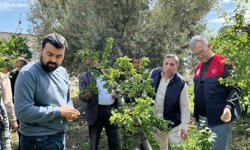 Mersin'de dolu afeti sonrası hasar tespit çalışmalarına başlandı