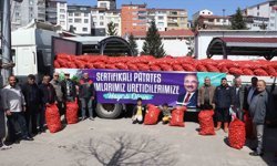 Ordu'da üreticilere 45 ton tohumluk patates dağıtıldı
