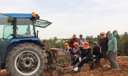 Poşusunu takan Kaymakam Kuran üreticilerle birlikte kekik dikti