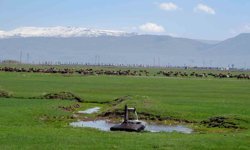 Tarımda önder üretici modeli vurgusu