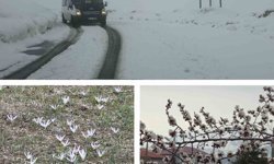 Van'da iki mevsim bir arada: Bir yanda bahar, diğer yanda kış