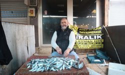 Dilgil: “Mersin’de her mevsim balık bulunur”