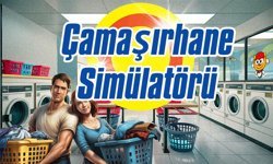 Temizlik düşkünleri için geliyor: Çamaşırhane Simülatörü