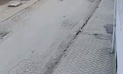 Bir anda koşup havlayan köpek küçük çocuğu korkuttu