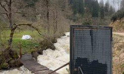 Böylesi ancak Karadeniz'de olur