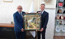 Erdemli ile Romanya'nın Braila kenti kardeş şehir oldu