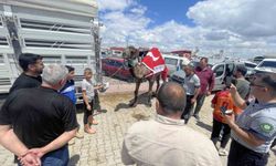 Kurban pazarının gözdesi deve 330 bin TL'ye satıldı