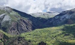 Mayıs sonunda Gümüşhane'nin zirvelerinde kar sürprizi