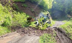 Ordu'da yağışların ardından 120 noktada heyelan