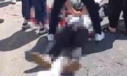 Şanlıurfa'da kurbanlık yüklü kamyonet devrildi: 1 ölü, 1 yaralı