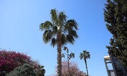 Mersin’de 26 Mayıs’ta hava durumu