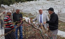Kardan zarar gören Mersinli çiftçiler, zararlarının karşılanmasını istiyor
